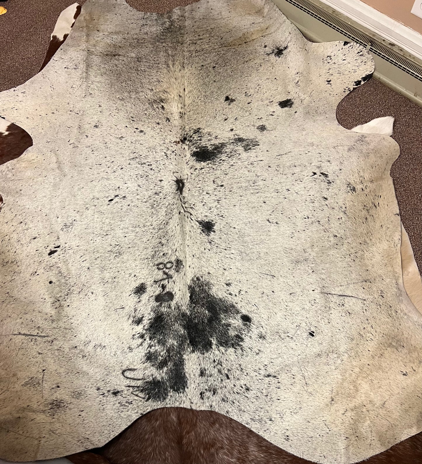 Salt and pepper Jumbo Hide